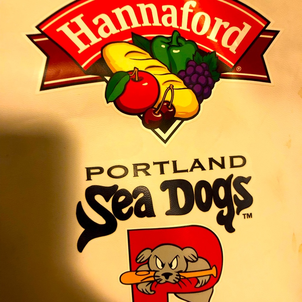 PORTLAND SEA DOGS BACK PACK shown during live sale